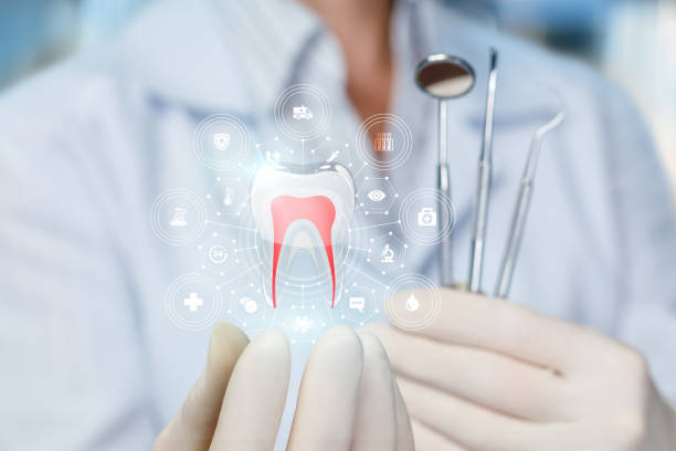 Our Range of Dental Services in Beach Haven, NJ